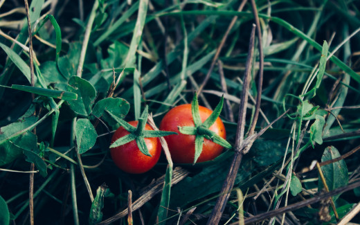 1136961 (a): :2560x1600